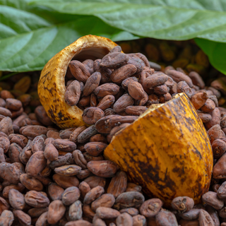 Cacao cérémoniel du Guatemala- Hearth to Earth