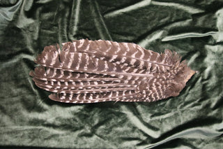 Évantail pour fumigation - Aile d'oiseau vierge