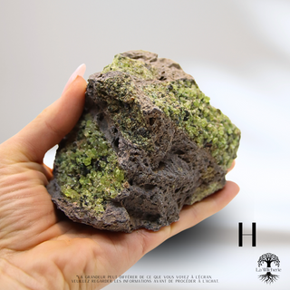 Péridot brut d'Arizona ( Matrix) Gros