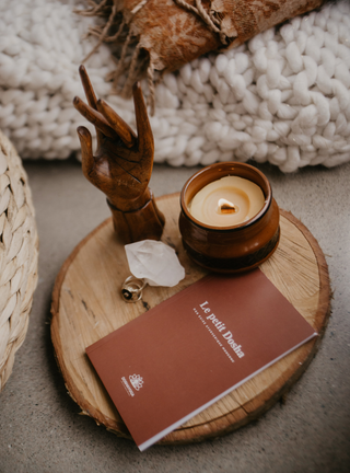 Le petit Dosha- Livre de poche