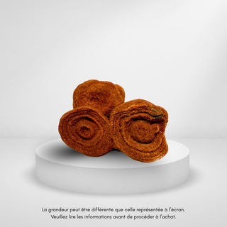 Stromatolite ( fossil)