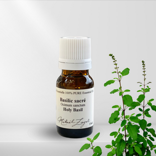 Huile essentielle de Basilic sacré biologique (5ml) Tulsi